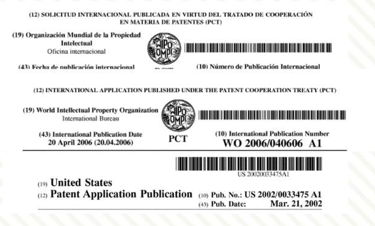 Documento de patente internacional (PCT) del equipo fundador
